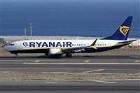 ©Alfonso Solís - Asociación Canary Islands Spotting. Click to see full size photo ©Alfonso Solís - Asociación Canary Islands Spotting. Click to see full size photo