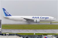 �Miguel A. �gueda Rguez.  (CANARY ISLANDS SPOTTING). Click to see full size photo