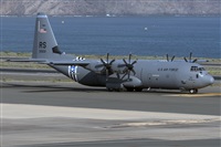 �Adolfo Bento - Gran Canaria Spotters. Click to see full size photo