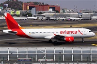 ©Alejandro Torres C (México). Click to see full size photo ©Alejandro Torres C (México). Click to see full size photo