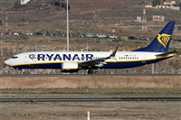 �Alfonso Sol�s - Asociaci�n Canary Islands Spotting. Click to see full size photo