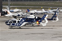 �Luis Mart�n Garcia. AIRE.org. Click to see full size photo