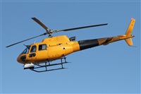 �Vicente Aguil�. Click to see full size photo