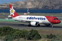 �Adolfo Bento - Gran Canaria Spotters. Click to see full size photo