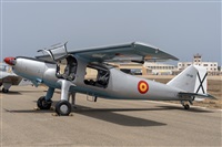 �Adolfo Bento - Gran Canaria Spotters. Click to see full size photo