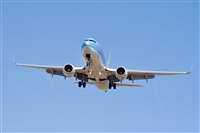 Javier de la Cruz - CANARY ISLANDS SPOTTING. Click to see full size photo