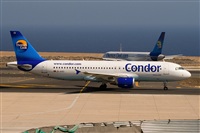 ©Javier de la Cruz - CANARY ISLANDS SPOTTING. Click to see full size photo ©Javier de la Cruz - CANARY ISLANDS SPOTTING. Click to see full size photo