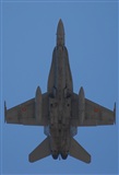 Alejandro H.L - Gran Canaria Spotters. Click to see full size photo