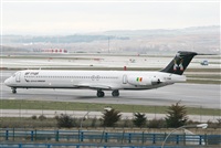 Adrin Alonso Lemes - Lanzarote Spotters. Click to see full size photo