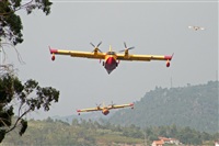 Esteban Lamas. Click to see full size photo