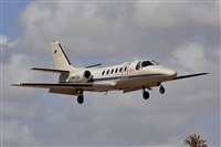 ©Antonio Zamora - La Mancha Spotters. Click to see full size photo ©Antonio Zamora - La Mancha Spotters. Click to see full size photo