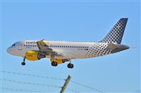 Miguel A. gueda Rguez.  (CANARY ISLANDS SPOTTING). Click to see full size photo
