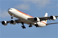Rubn Gil - Noisy Spotters. Click to see full size photo