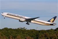 Rodrigo Carvalho - Noisy Spotters. Click to see full size photo
