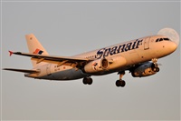 Rubn Gil - Noisy Spotters. Click to see full size photo