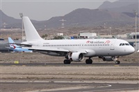 Alfonso Sols - Asociacin Canary Islands Spotting. Click to see full size photo