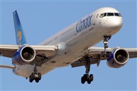 Javier de la Cruz - CANARY ISLANDS SPOTTING. Click to see full size photo