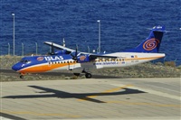 Miguel A. gueda Rguez.  (CANARY ISLANDS SPOTTING). Click to see full size photo