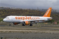 Javier de la Cruz - CANARY ISLANDS SPOTTING. Click to see full size photo