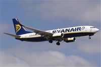 Alfonso Sols - Asociacin Canary Islands Spotting. Click to see full size photo
