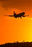 Saimon J Rodriguez   -   Canary Islands Spotting. Click to see full size photo