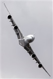 Florencio Martn Melin - Lanzarote Spotters. Click to see full size photo