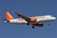 Alfonso Sols - Asociacin Canary Islands Spotting. Click to see full size photo