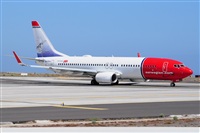 Miguel A. gueda Rguez.  (CANARY ISLANDS SPOTTING). Haz click para ampliar