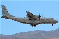 Bartolom Fernndez - Gran Canaria Spotters. Click to see full size photo