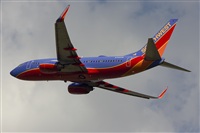 Dr. Alejandro Hndez. Spotters Mexico City. Click to see full size photo