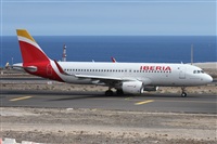 ©Alfonso Solís - Asociación Canary Islands Spotting. Click to see full size photo ©Alfonso Solís - Asociación Canary Islands Spotting. Click to see full size photo