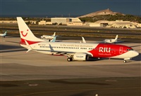©Alejandro H.L - Gran Canaria Spotters. Click to see full size photo ©Alejandro H.L - Gran Canaria Spotters. Click to see full size photo