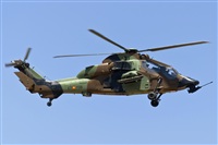 Fco Javier Garca Ruiz. Click to see full size photo