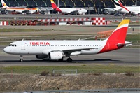 ©Alfonso Solís - Asociación Canary Islands Spotting. Click to see full size photo ©Alfonso Solís - Asociación Canary Islands Spotting. Click to see full size photo