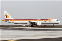 ©Nacho Rodriguez - Canary Islands Spotting. Click to see full size photo ©Nacho Rodriguez - Canary Islands Spotting. Click to see full size photo