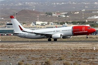 ©Alfonso Solís - Asociación Canary Islands Spotting. Click to see full size photo ©Alfonso Solís - Asociación Canary Islands Spotting. Click to see full size photo