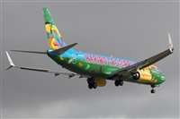 Nacho Rodriguez - Canary Islands Spotting. Click to see full size photo
