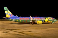 Saimon J Rodriguez   -   Canary Islands Spotting. Click to see full size photo