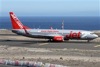 ©Alfonso Solís - Asociación Canary Islands Spotting. Click to see full size photo ©Alfonso Solís - Asociación Canary Islands Spotting. Click to see full size photo