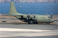 Adolfo Bento - Gran Canaria Spotters. Click to see full size photo