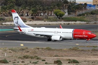 ©Alfonso Solís - Asociación Canary Islands Spotting. Click to see full size photo ©Alfonso Solís - Asociación Canary Islands Spotting. Click to see full size photo
