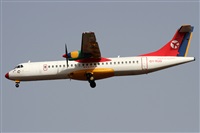 Alfonso Sols - Asociacin Canary Islands Spotting. Click to see full size photo