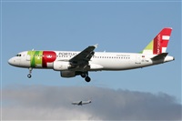 Adrin Alonso Lemes - Lanzarote Spotters. Click to see full size photo