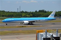 Miguel A. gueda Rguez.  (CANARY ISLANDS SPOTTING). Click to see full size photo
