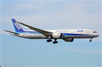 Miguel A. gueda Rguez.  (CANARY ISLANDS SPOTTING). Haz click para ampliar