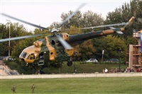 Tams. Click to see full size photo
