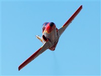 Florencio Martn Melin - Lanzarote Spotters. Click to see full size photo