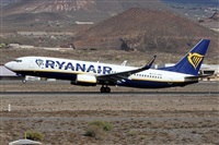 Alfonso Sols - Asociacin Canary Islands Spotting. Click to see full size photo