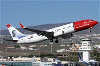 Alfonso Sols - Asociacin Canary Islands Spotting. Haz click para ampliar