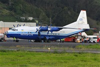Miguel A. gueda Rguez.  (CANARY ISLANDS SPOTTING). Click to see full size photo